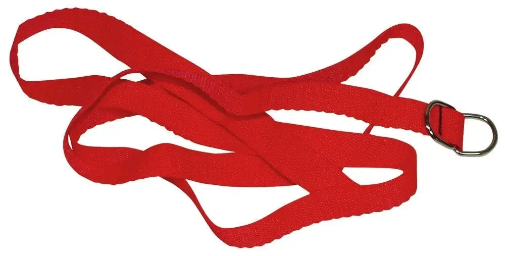 Red Giant from Bad Kitty - Beginner Bondage set