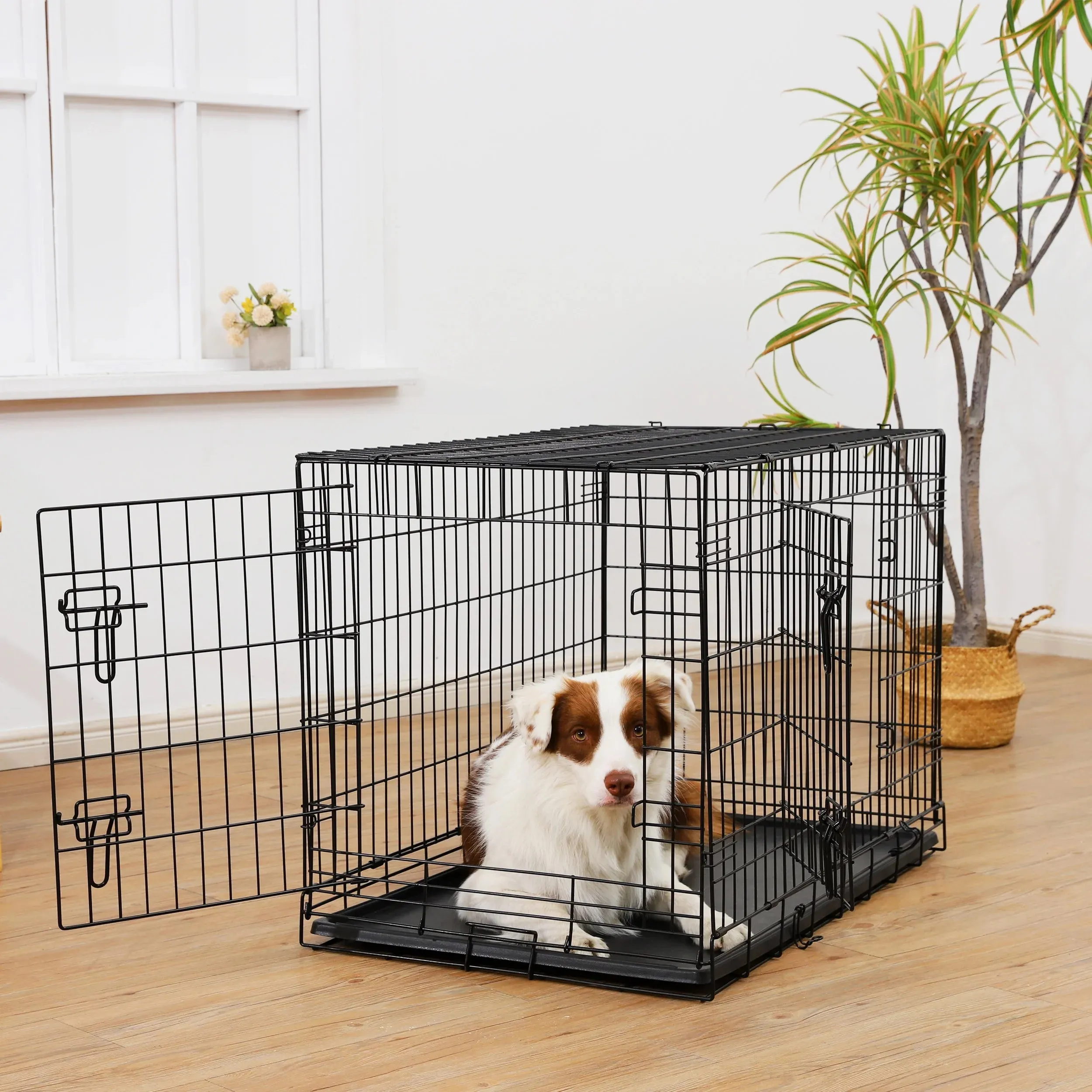 Vibrant Life Double Door Metal Wire Dog Crate with Leak-Proof Pan and Divider, 36 inch